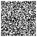 QR code with Cairo Mayor's Office contacts