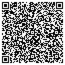 QR code with Cartis Solutions Inc contacts