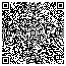 QR code with BLM Consulting Group contacts