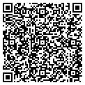 QR code with Willife contacts