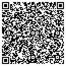 QR code with Pyle Construction Co contacts
