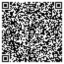 QR code with Practical Angle contacts