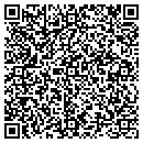 QR code with Pulaski Dental Care contacts