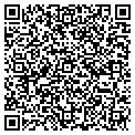 QR code with Action contacts