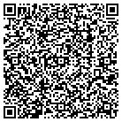 QR code with Gallery Schabes Studio contacts