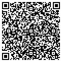 QR code with Tandem contacts