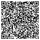 QR code with Chicago Gem Lab Inc contacts