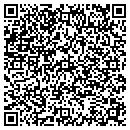 QR code with Purple Turtle contacts