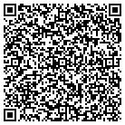 QR code with Pumps and Process Eqp Inc contacts