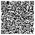 QR code with Cugini contacts