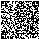 QR code with Project Team contacts