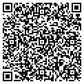 QR code with Cindys contacts