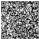 QR code with Concepts In Foliage contacts