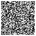 QR code with Cmsi contacts