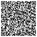 QR code with Carpet Express Inc contacts