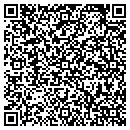 QR code with Pundit Systems Corp contacts