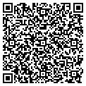 QR code with Shadys contacts