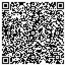 QR code with Cools Window Tinting contacts