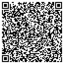 QR code with Project Max contacts