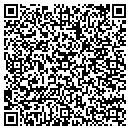 QR code with Pro Top Nail contacts