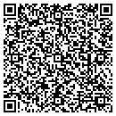 QR code with Carriage Travel Inc contacts