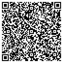 QR code with Cdp Development Inc contacts
