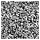 QR code with Cache River Drainage contacts