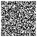 QR code with Chameleon Logo Design contacts