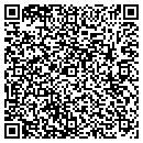 QR code with Prairie Brick Company contacts