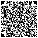 QR code with Crm Insights contacts