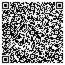 QR code with Premiere Auto Plus contacts