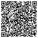 QR code with Cellar contacts