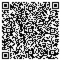 QR code with Maggie contacts