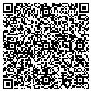 QR code with Borg Properties Inc contacts