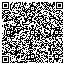 QR code with Carpet Care Plus LLC contacts