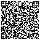 QR code with Pulaski Farm contacts