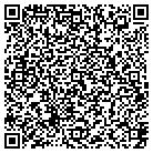 QR code with Pulaski County Recorder contacts