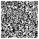 QR code with Pulaski County Recorder contacts