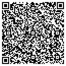 QR code with Precision Automotive contacts