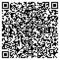 QR code with MAGSYS contacts