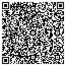 QR code with Precise Mold contacts
