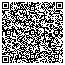 QR code with Precision Services contacts