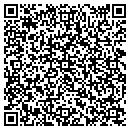 QR code with Pure Slumber contacts