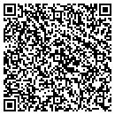 QR code with Public Storage contacts