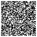 QR code with Carver Studios contacts