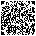 QR code with IBEW contacts