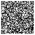 QR code with IBEW contacts