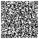 QR code with Blimpie Subs & Salads contacts