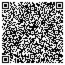 QR code with Pro Pump Inc contacts