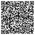 QR code with Bogies contacts